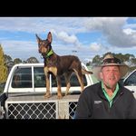 Rodney Batchelor - @rodney.batchelor.98 - Instagram