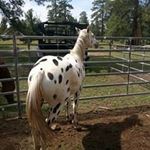 Rodney Bauer - @bauerrodney - Instagram