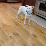 Rodney Bauer - Facebook
