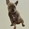 Rodney Neugebauer - @rodneyneugebauer - TikTok