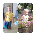 Rodney Bear - @rodney.bear.1 - Instagram