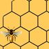 Rodney and Zelna's Bee Adventures - Facebook