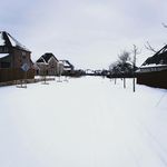 Rodney Bellinger - @rcbbball - Instagram