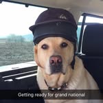 Rodney Likes Maddie The Best - @meltofthecentury - Instagram