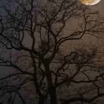 Rodney Birch - Facebook