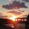 rodney bland - @rodney.bland1 - TikTok