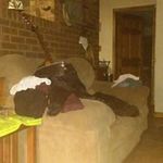 Rodney Blevins - @rodney.blevins.921 - Instagram