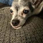 Rodney Booth - @bigkidrod5 - Instagram