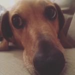 Rodney Doyle-Booth - @rodneydoylebooth - Instagram