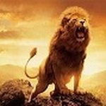 Rodney Elliott Branch - @courtyendor - Instagram