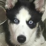 @rodney.bratcher - Instagram