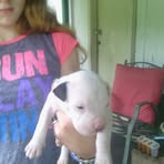 Rodney Bratcher - Facebook