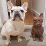 Maya Mark Rodney - @rodney_in_brighton - Instagram