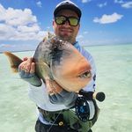 Rodney Bright - @rainbowrodbright - Instagram