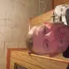 rodneybritt7 - @rodneybritt7 - TikTok