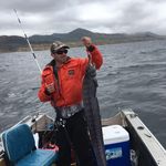 Rodney Brock - @rodney9105 - Instagram