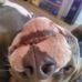 Rodney Busch - Facebook
