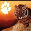 Rodney Byrd - @rodney.byrd62 - TikTok