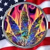 rodneycantrell586 - @rodneycantrell586 - TikTok