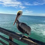 Rodney Carden - @installersnetworkllc - Instagram