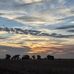 Rodney Clapp - Facebook