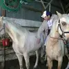 RodneyF - @rodney_f019 - TikTok