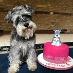 Rodney Curtis - @rodney_curtis2 - Instagram