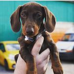 Rodney - @rodney_dabbs - Instagram