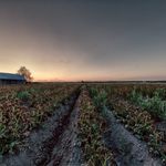 Rodney Dahlinger - @rodneydahlinger40 - Instagram