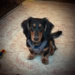 @rodneyday2024 - Instagram