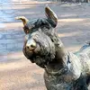 Rodney_D - @rodney3delaney - TikTok