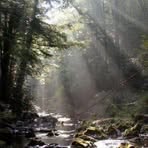 Rodney Dillard - Facebook