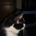 Rodney Drury - Facebook
