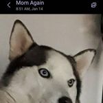 Rodney Elmore - @elmore4729 - Instagram