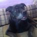 Rodney Elmore - Facebook