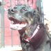 Rodney Elmore Sr. - Facebook
