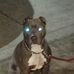 Rodney Ferrell - Facebook