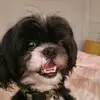 Nastynino69 - @rodney.galloway - TikTok