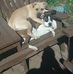 Rod Goetz - Facebook