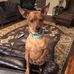 Rodney Hamblin - Facebook
