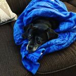 Rodney Hammer - @hammer_rodney - Instagram