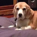 Rodney Harding - @rodneyharding - Instagram