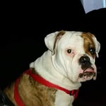 Rodney Harding - @drk_joker_71 - Instagram
