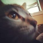 rodneyhatchel - @rodneyhatchel - Instagram