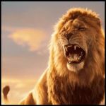 Rodney Helm - @helm_rodney - Instagram
