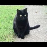 Rodney Hinton - @rodneyhinton58 - Instagram