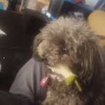 Rodney Hockaday - @hockadayrodney - Instagram