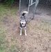 Rodney Hockaday - Facebook