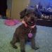 Rodney Hockaday - Facebook