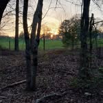 Rodney hope - @ramdoggee - Instagram